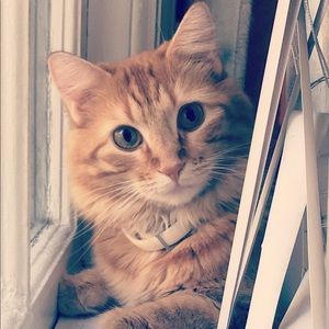 Meet your Posher, Emma